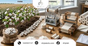 Quy trình sản xuất vải cotton từ cây bông đến vải thành phẩm